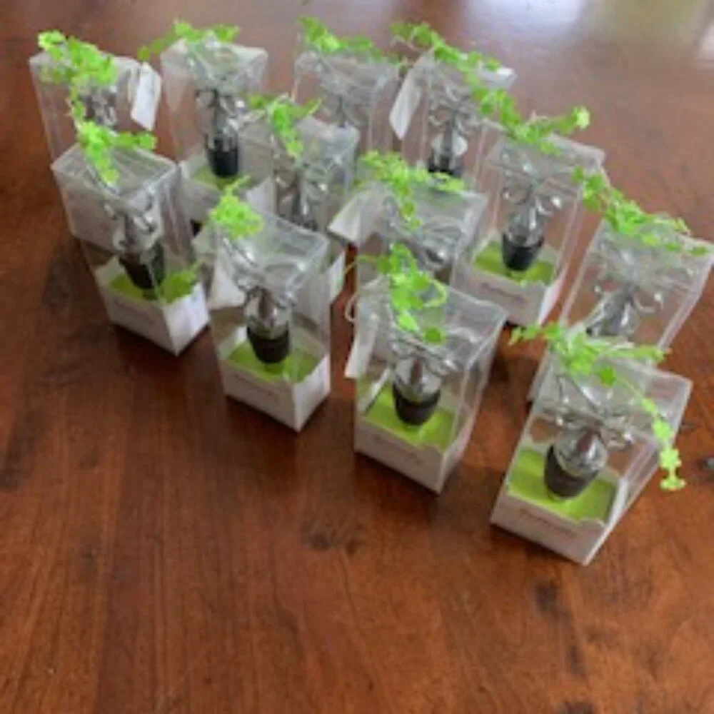 NWT 12 Shower Favors-Butterfly Wine Stoppers in Gift Boxes with 